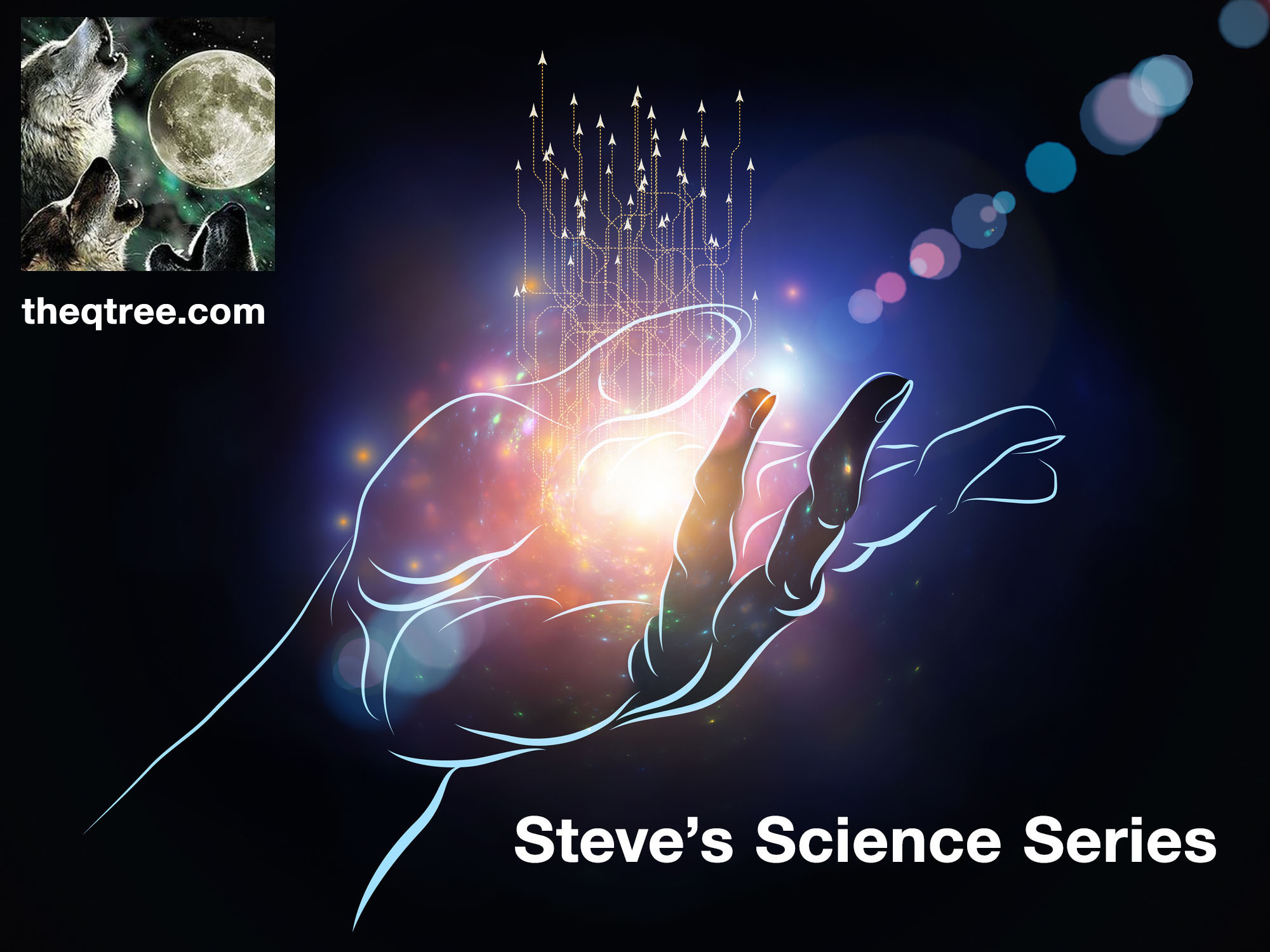 Steve's Science Series