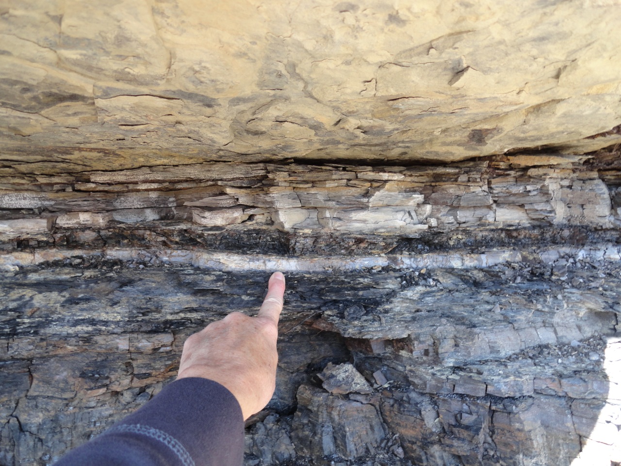 Layer of Iridium