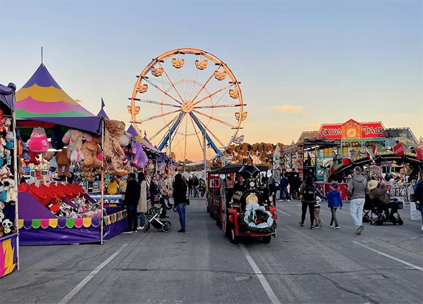 State/County Fairs