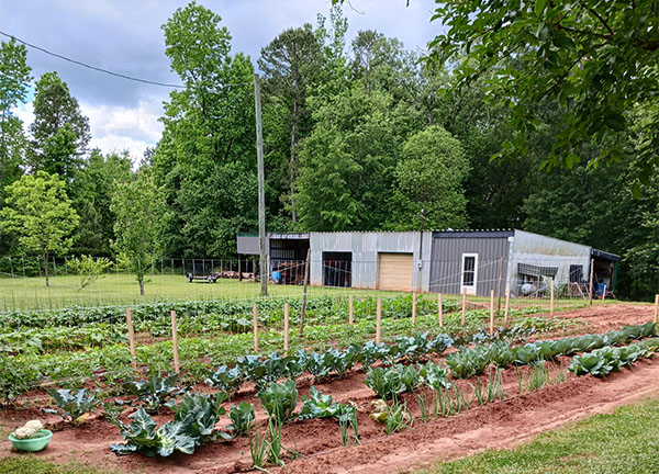 Susan's Garden